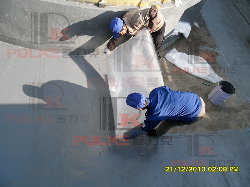SDC11356.JPG