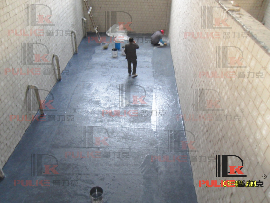 SDC12703.JPG
