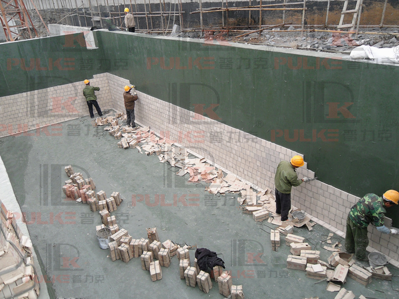 SDC11693.JPG