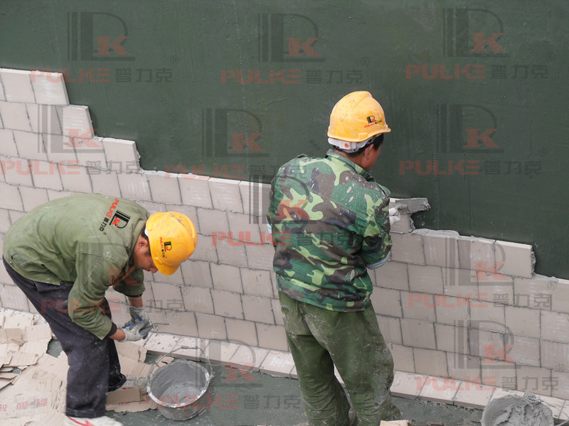 SDC11698.JPG